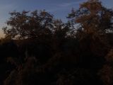 BilderDrohne/DJI_0067.JPG
