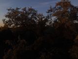 BilderDrohne/DJI_0066.JPG